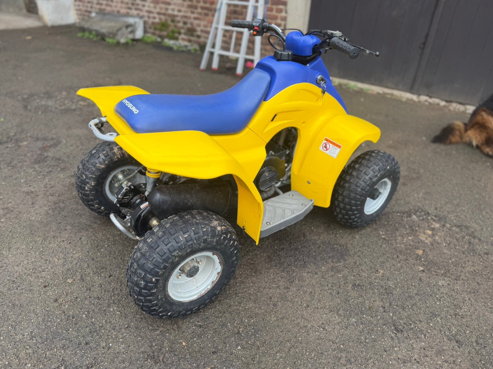 Hyosung TE50 année 2006 quad pour enfant, Motos, 1 cylindre, 50 cm³