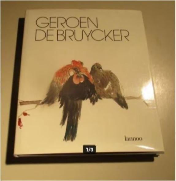 Superbe livre d'art - Geroen De Bruycker - Lowie Weynants, Livres, Art & Culture | Arts plastiques, Comme neuf, Enlèvement ou Envoi