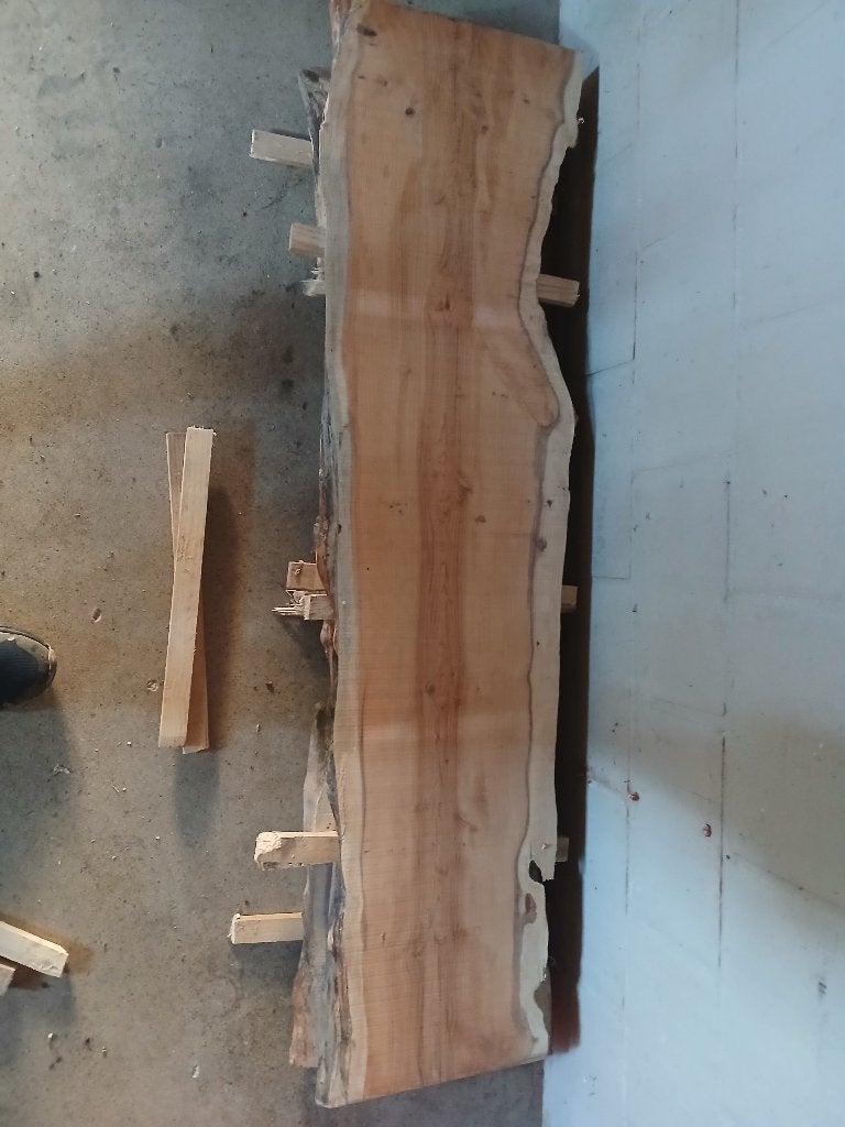 Planken van Taxus, Bricolage & Construction, Bois & Planches, Neuf, Autres essences de bois, Enlèvement, 25 à 50 mm