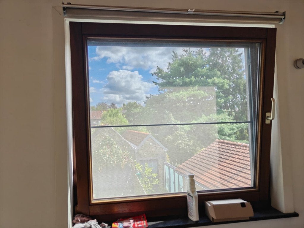 Fenêtre HR avec menuiserie en bois, Double vitrage, Fenêtre de façade ou Vitre, Enlèvement, Utilisé