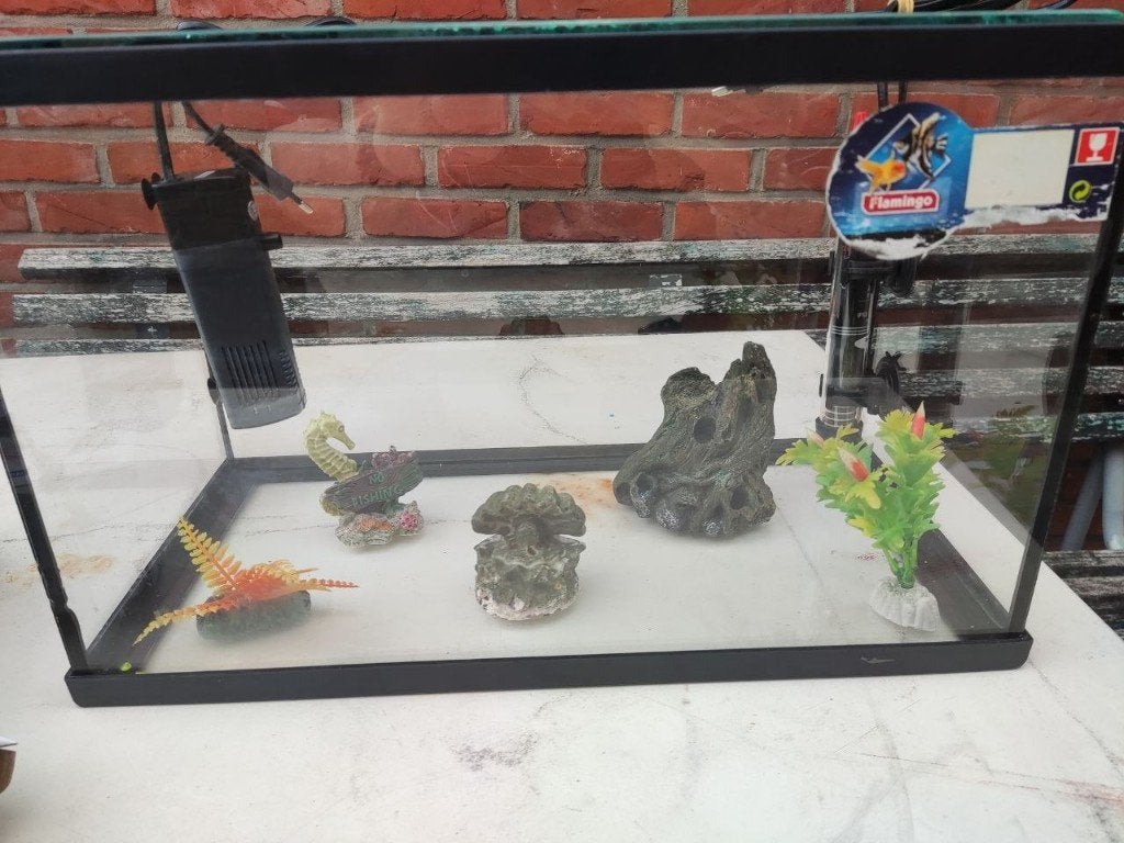 Flamingo – volglas aquarium – 40x20x25cm – 17,3L, Bocal à poissons, Comme neuf, Enlèvement, Chauffage