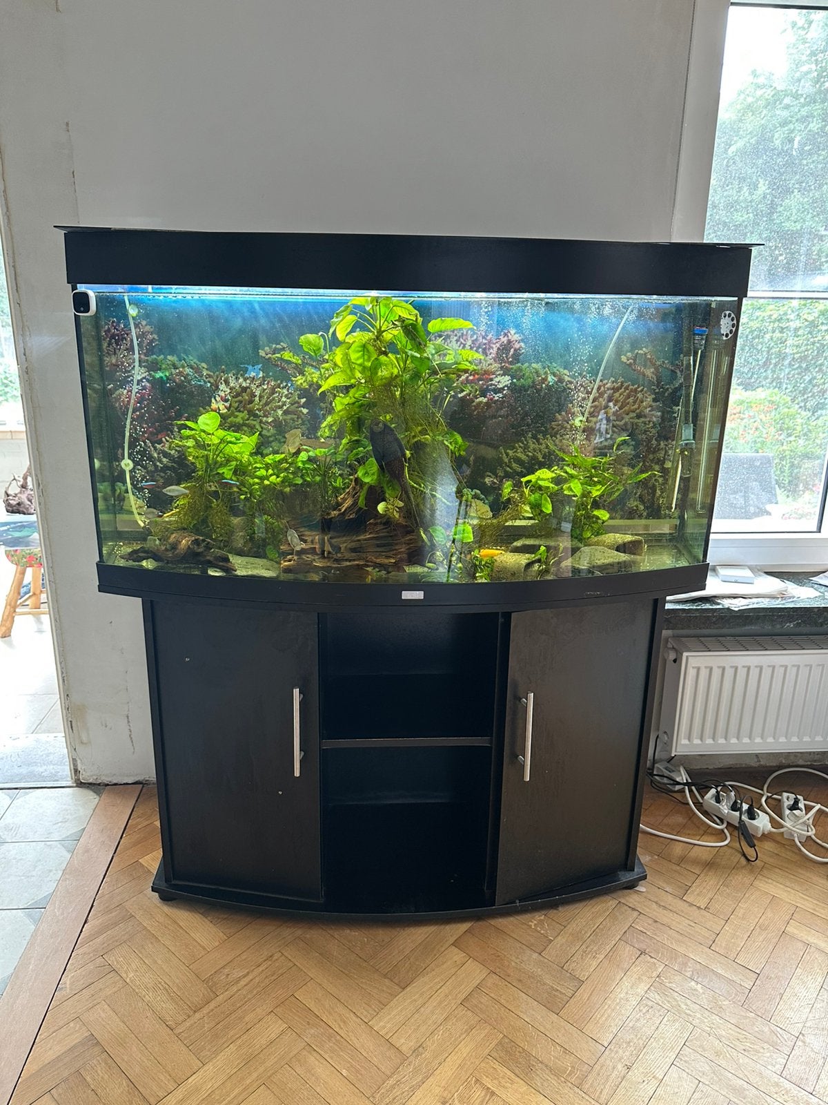Aquarium juwel vision 260, Dieren en Toebehoren, Ophalen, Zo goed als nieuw, Decoratie, Juwel