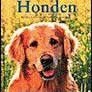 Deltas compleet handboek honden keuzevoeding verzorging 204b, Livres, Animaux & Animaux domestiques, Comme neuf, Chiens, Enlèvement ou Envoi
