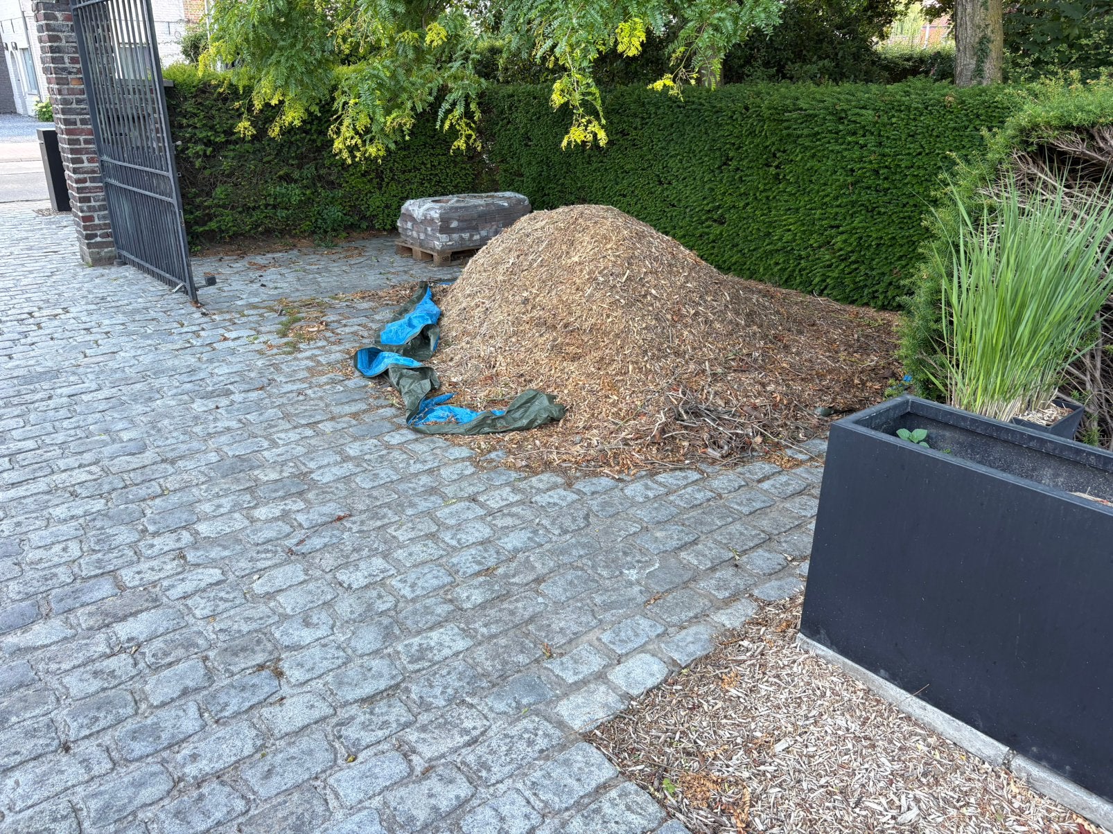 Gratis boomschors/hakseling, Ophalen, Boomschors