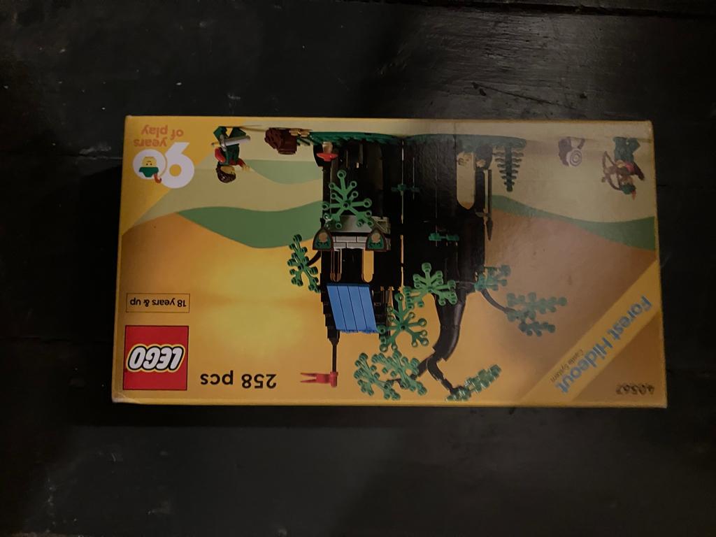 Lego robin des bois 40567 repaire dans la forêt, Collections, Enlèvement ou Envoi