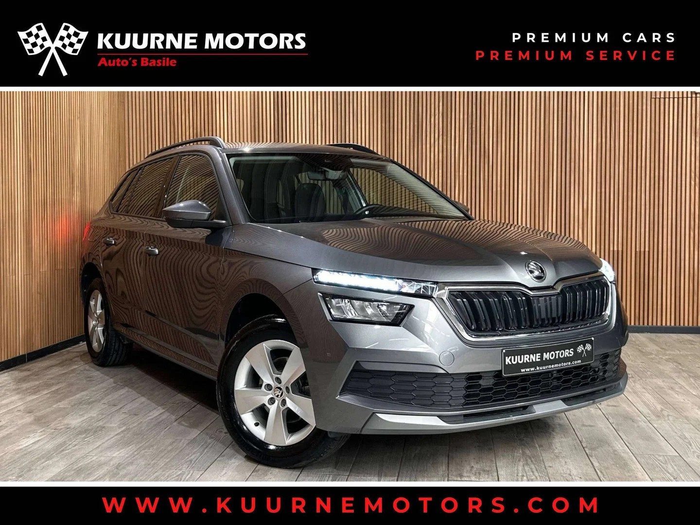 Skoda Kamiq 1.0 TSI Alu16"/Leder/VerwZet/Cruise/Led/Cam/Bt *, Autos, Skoda, Cuir, Argent ou Gris, Achat, Entreprise