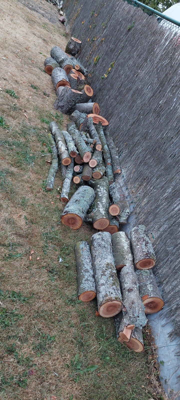 brandhout Kersenhout (hardhout), Jardin & Terrasse, Moins de 3 m³, Enlèvement, Autres essences de bois, Bûches