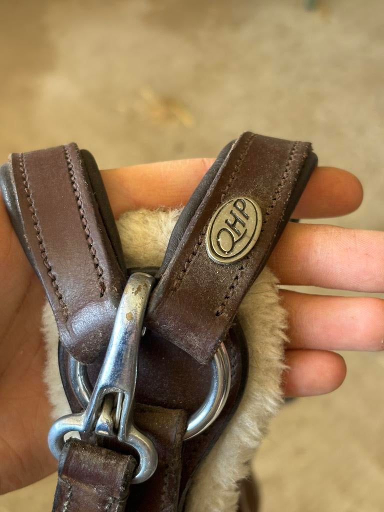 Martegaal te koop, Dieren en Toebehoren, Ophalen, Zo goed als nieuw