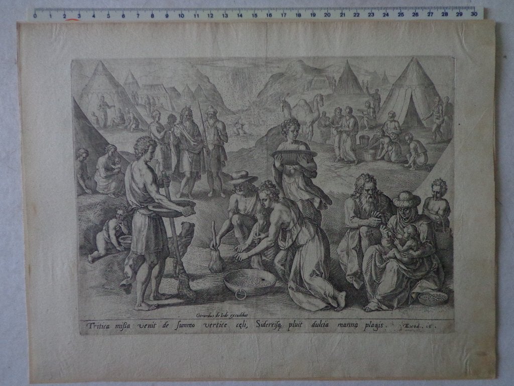 16de eeuwse gravure Gerard de Jode "Verzamelen hemels manna", Antiek en Kunst, Religie, Gesigneerd, Ophalen of Verzenden, Gravure
