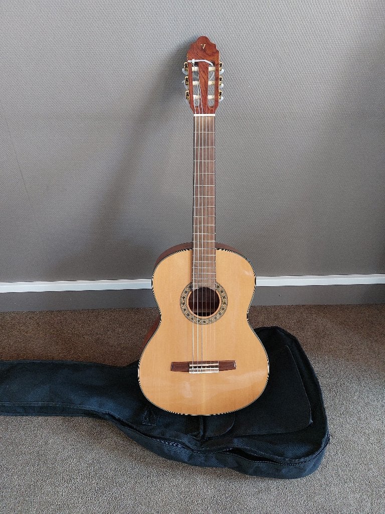 studiegitaar met hoes, Ophalen