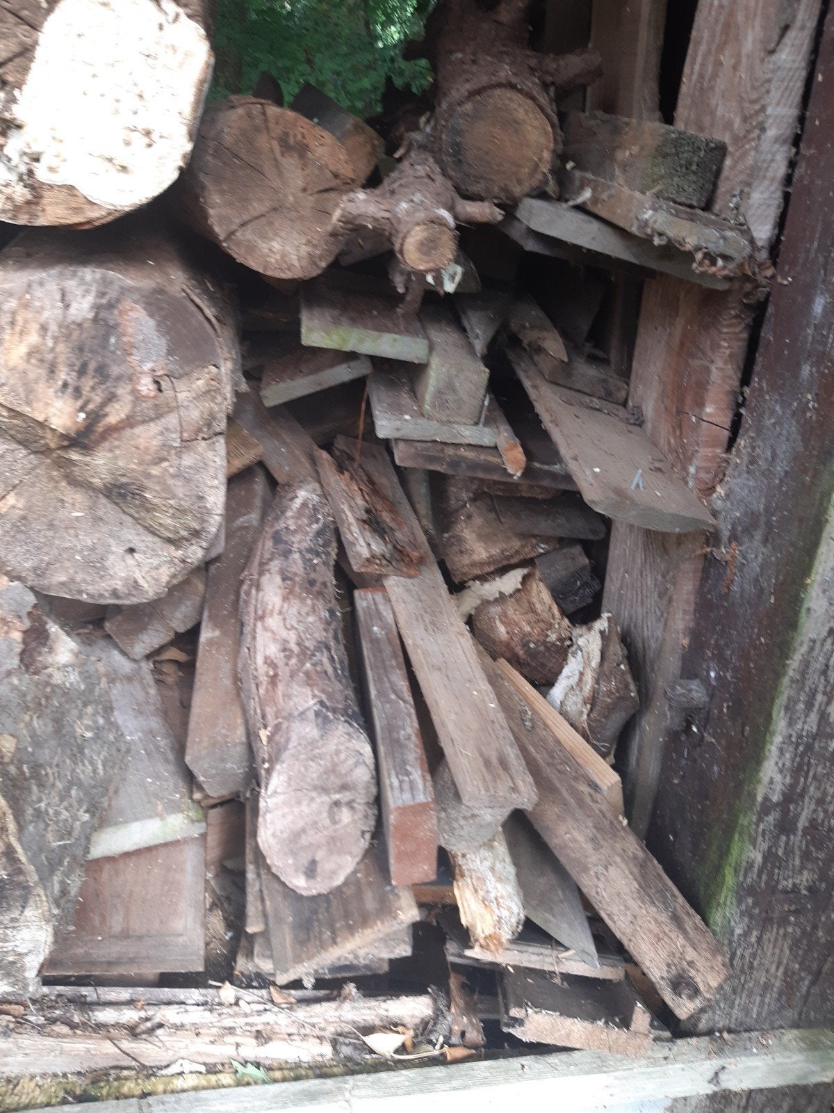 Bois de chauffage/bois d'allumage, Enlèvement