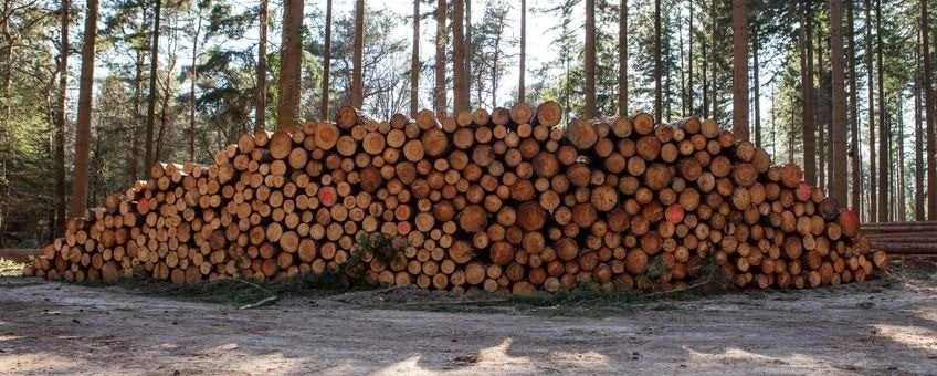Droog brandhout vanaf €85/m³ – eik, beuk & mix, Tuin en Terras, Brandhout, Ophalen of Verzenden