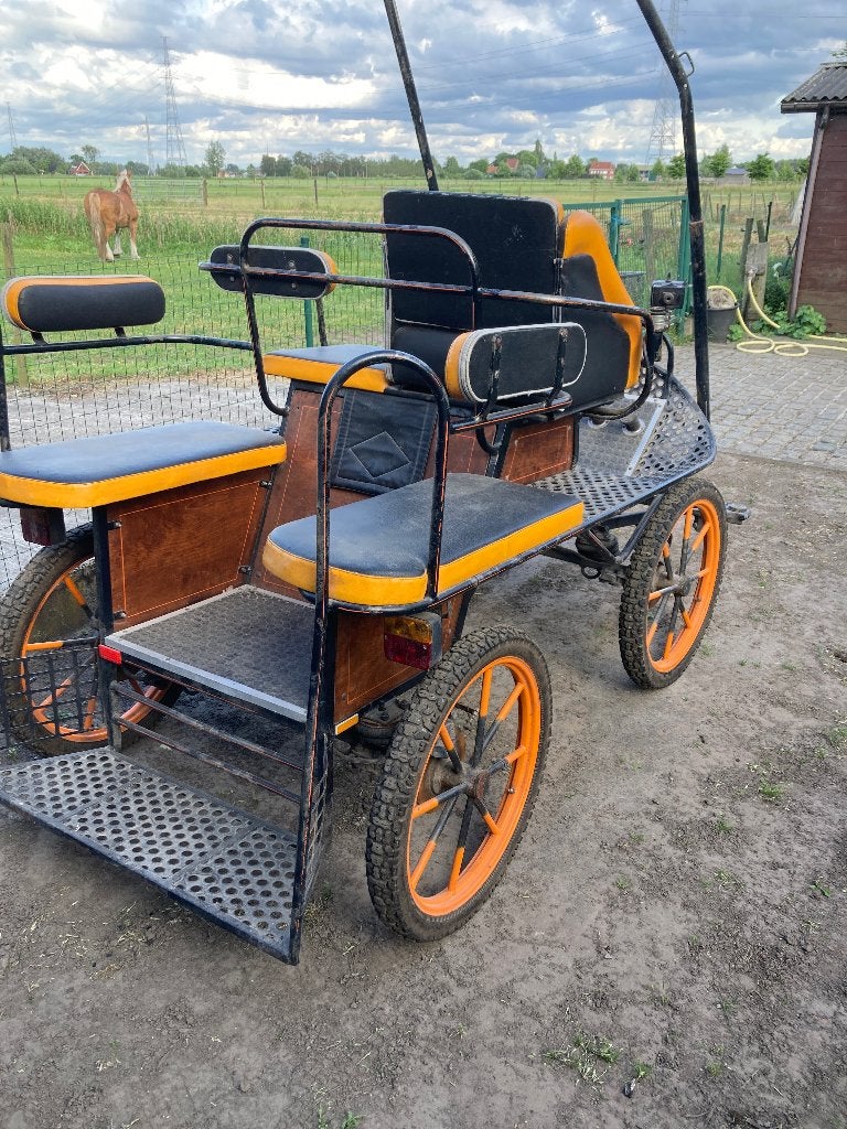 Paardenkoets, Animaux & Accessoires, Utilisé, Calèche marathon, Cheval