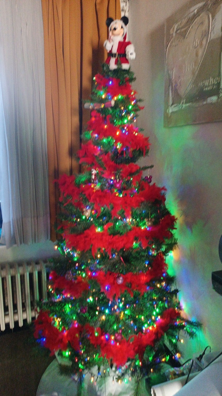Kerstboom, Diversen, Ophalen