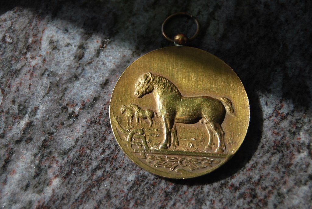 MEDAILLE BRONZE.  CHEVAL DE TRAIT LOOZ 1926, Enlèvement ou Envoi, Bronze