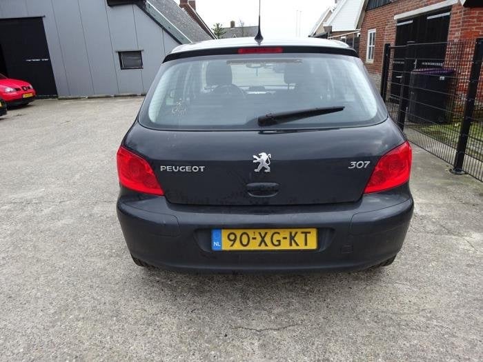 Achterklep van een Peugeot 307 (EXL), Gebruikt, -, Ophalen of Verzenden, -