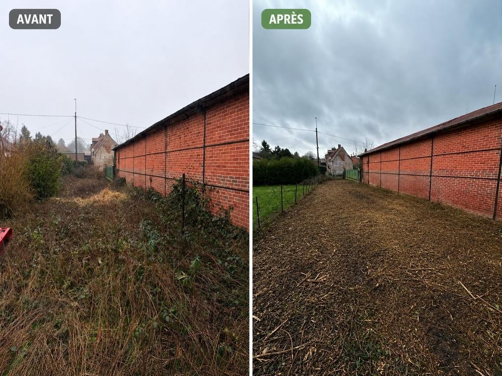 Remise en état de terrain/jardin, Enlèvement
