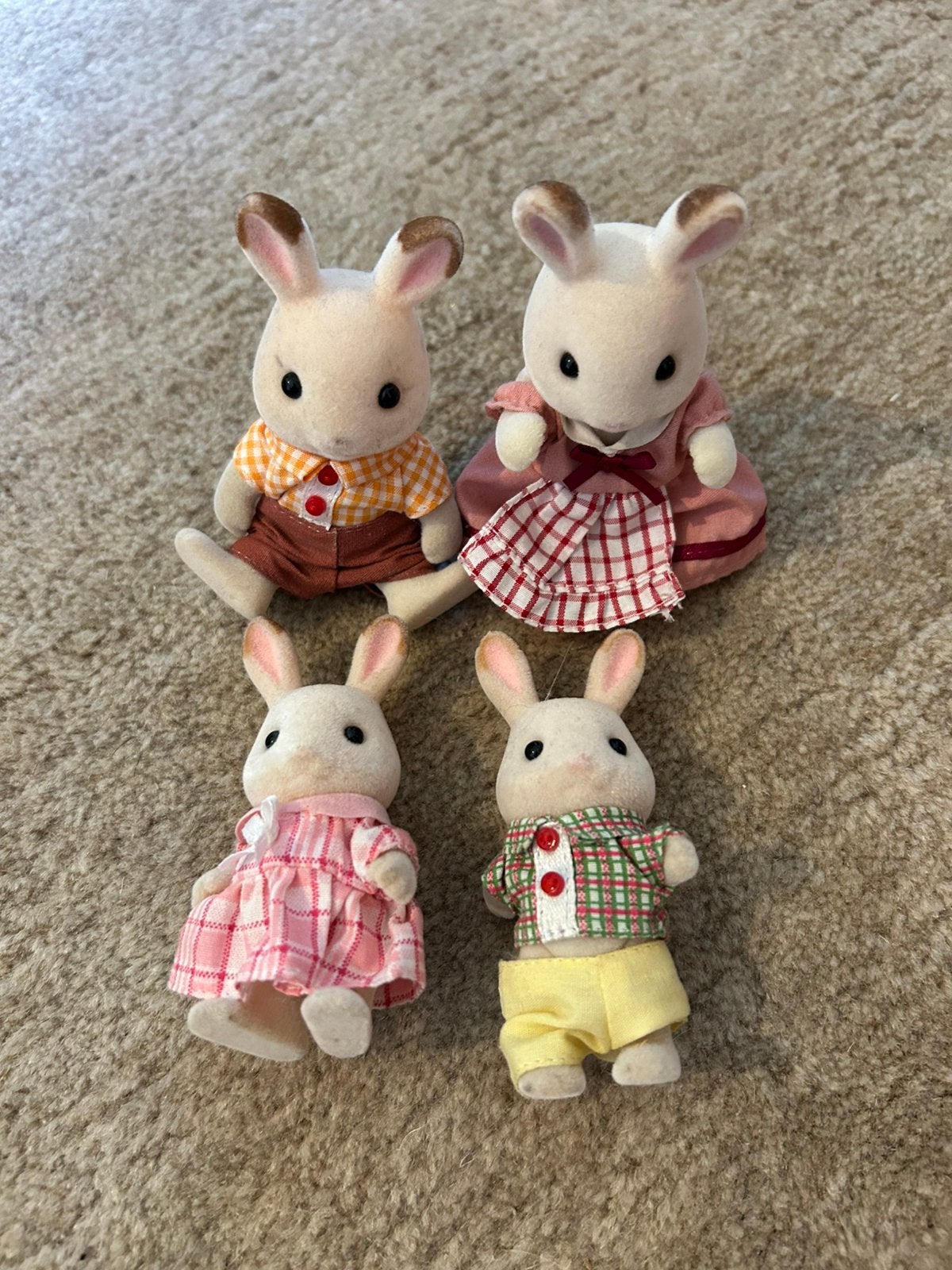 Famille Sylvanienne, Enlèvement ou Envoi, Comme neuf
