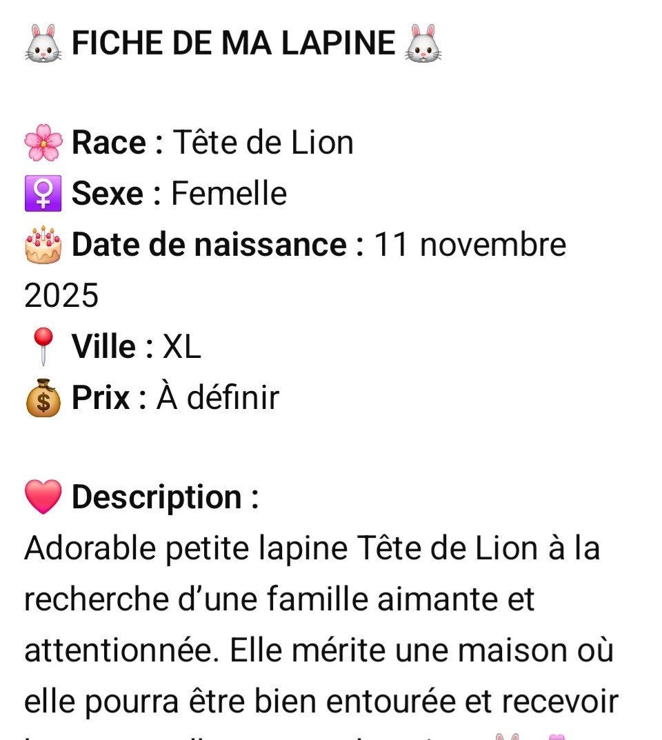 rongeur, Domestique, Novembre, Autres types, Femelle