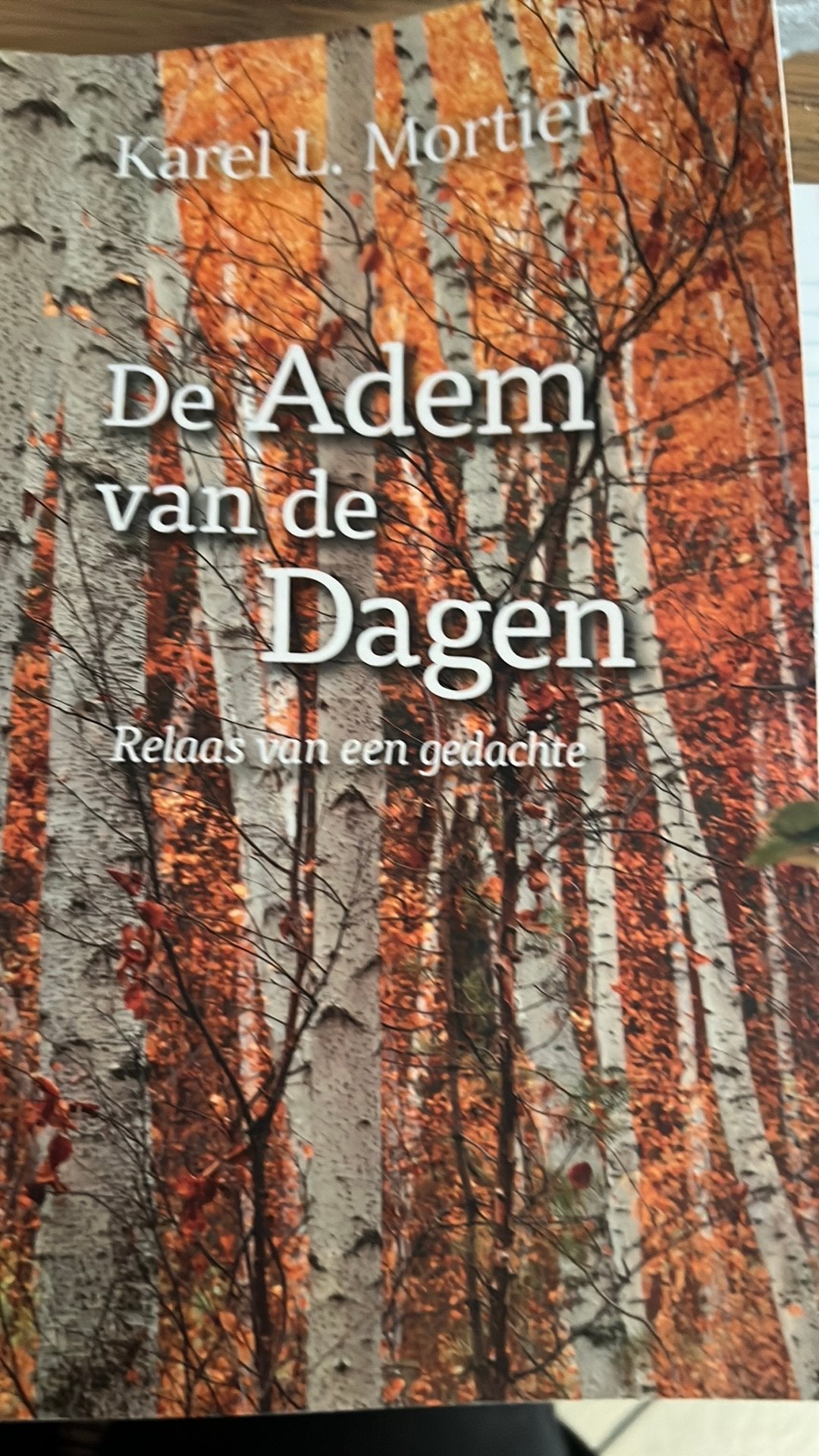 Boek, Boeken, Ophalen of Verzenden, Gelezen, Overige onderwerpen