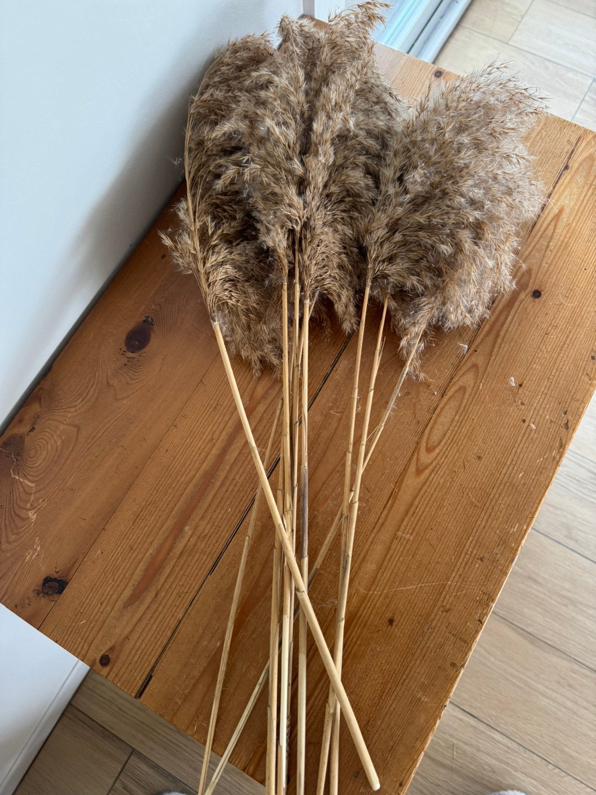 Natuurlijke pampaspluimen |  60 cm, Huis en Inrichting, Ophalen of Verzenden, Zo goed als nieuw