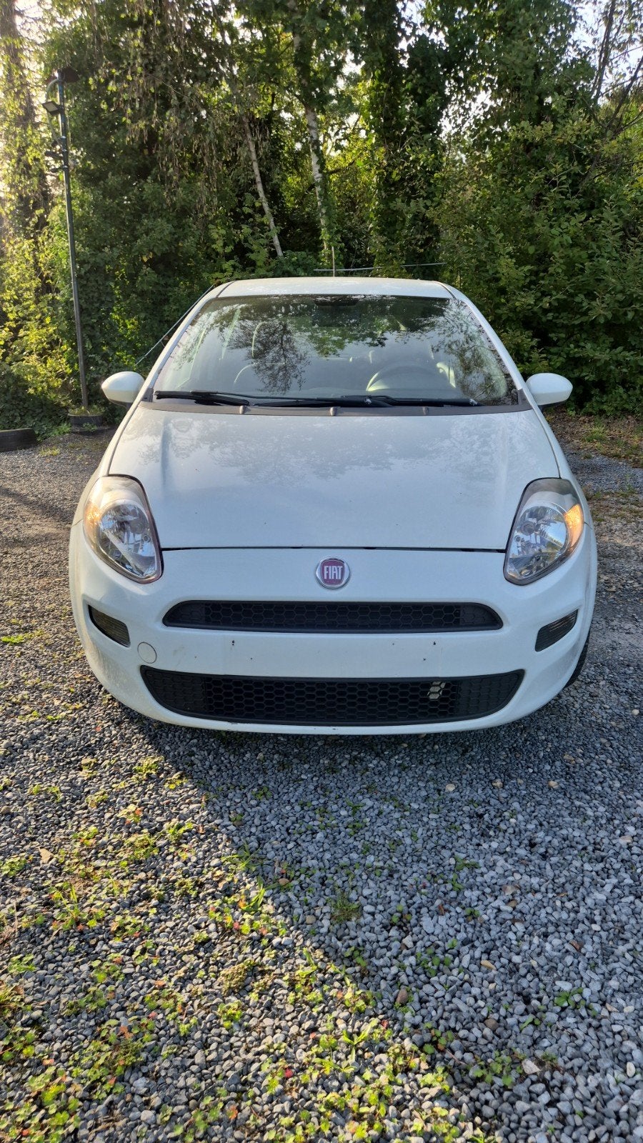 fiat punto, Auto's, Voorwielaandrijving, Euro 5, Stof, Wit