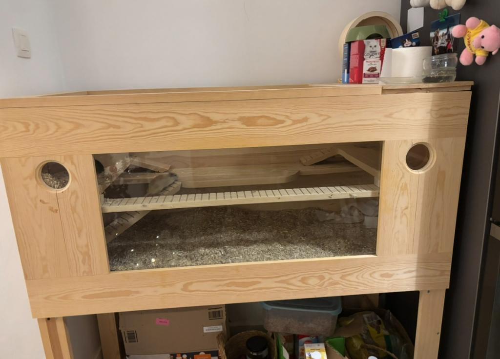 Cage pour gerbilles + 2 gerbilles femelles – gratuit, Dieren en Toebehoren, Ophalen, Kooi, 110 cm of meer, Hamster