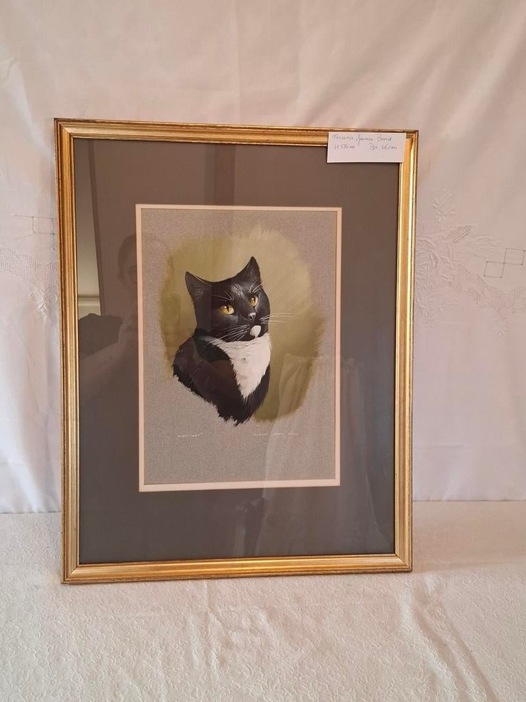 Schilderijen Terance James Bond, Enlèvement