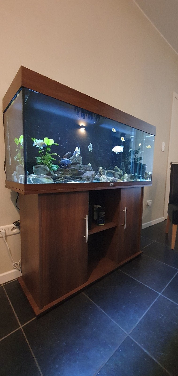 aquarium juwel Rio 250, Dieren en Toebehoren, Ophalen, Gebruikt, Filter, Eheim