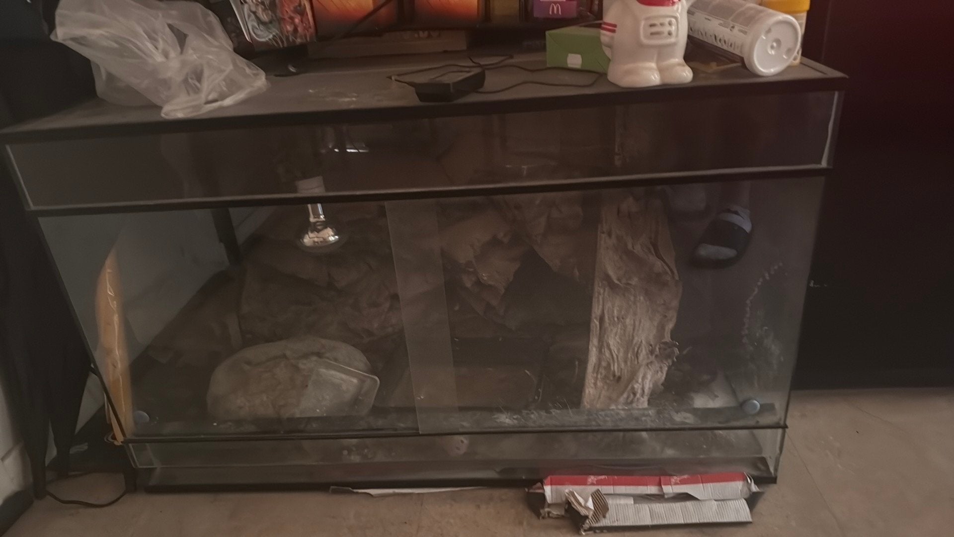 Terrarium zelf op te halen, Dieren en Toebehoren, Ophalen, Gebruikt, Terrarium of Paludarium