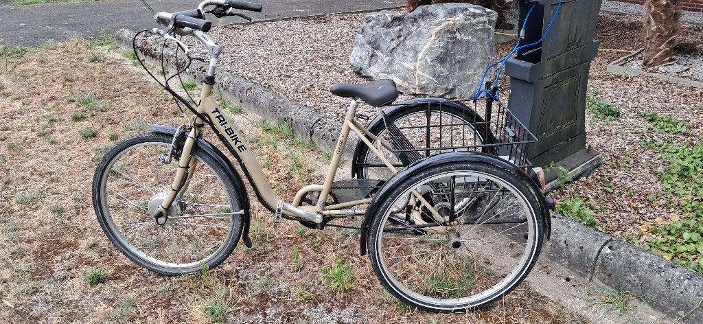 Electrische fiets driewieler, Enlèvement, Utilisé, Tri Bike