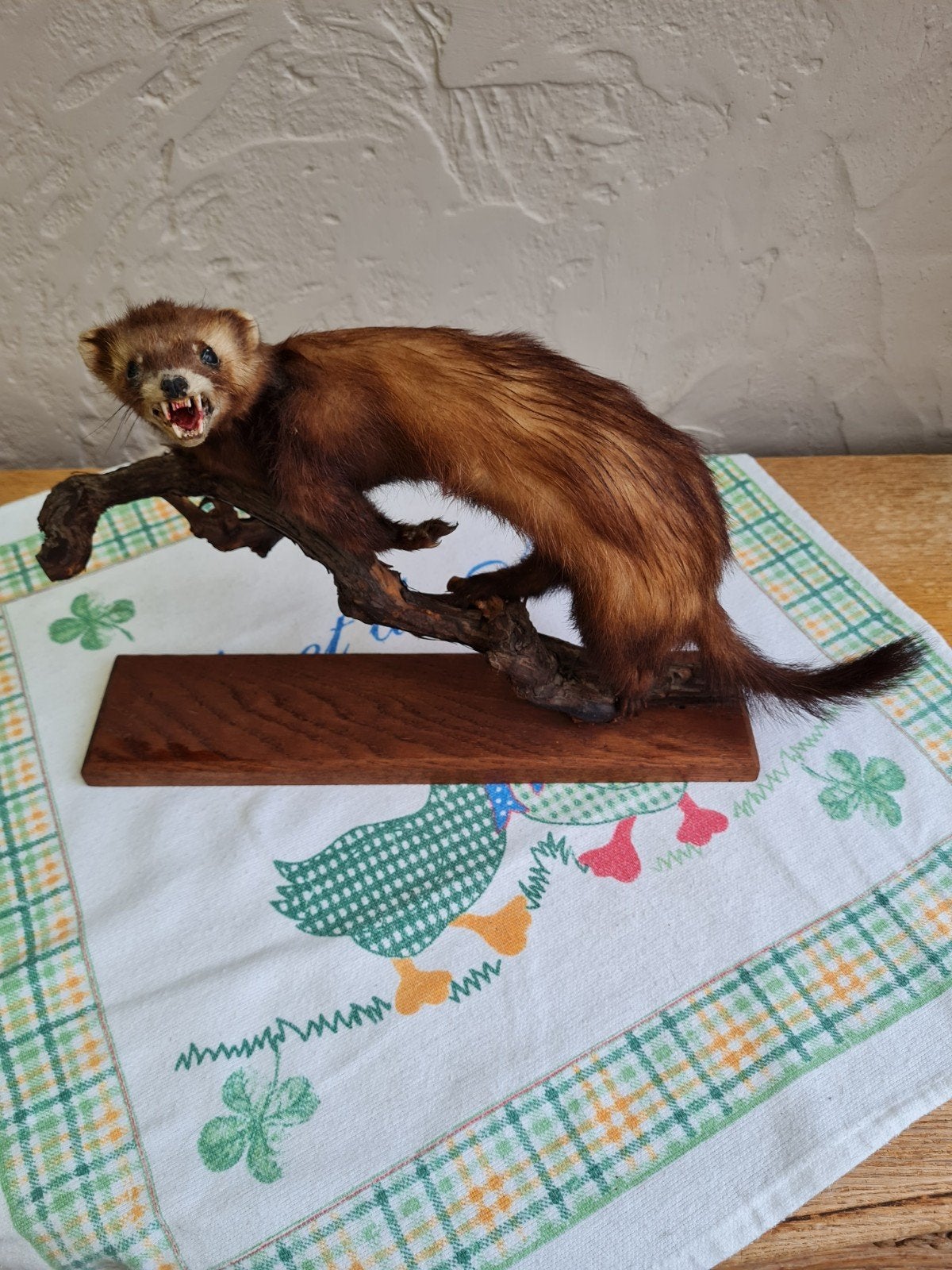 Taxidermie fret., Enlèvement