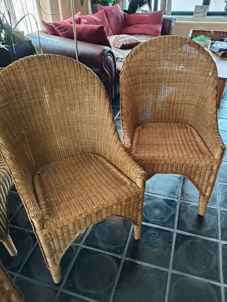 Eetkamerstoelel, Huis en Inrichting, Ophalen, Overige kleuren, Riet of Rotan, Zo goed als nieuw