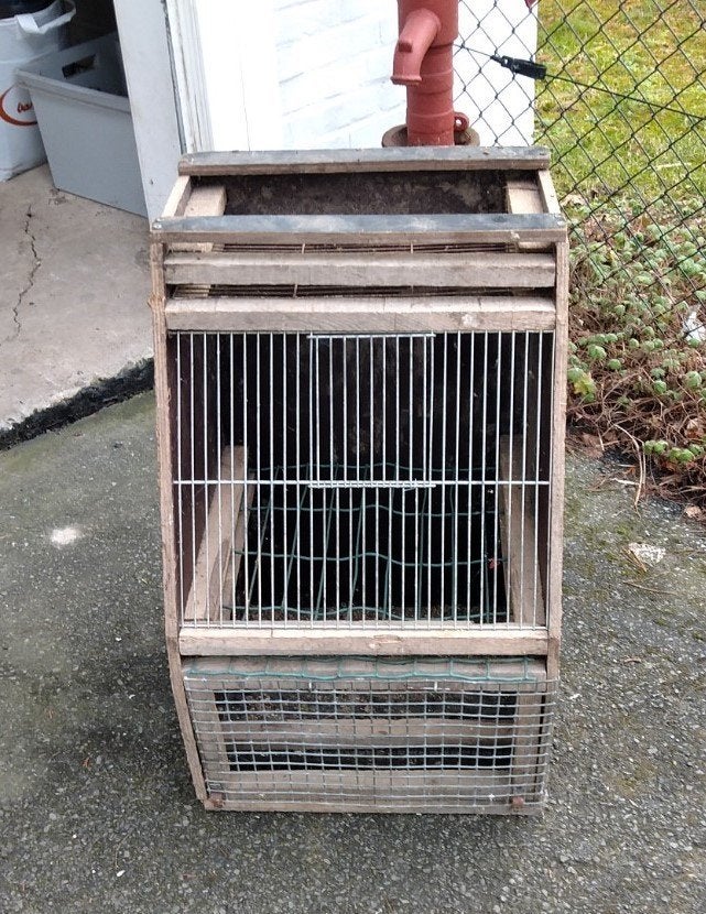 stevige houten kooi - vogelkooi met 2 ingangen, Ophalen, Zo goed als nieuw, Hout, Vogelkooi