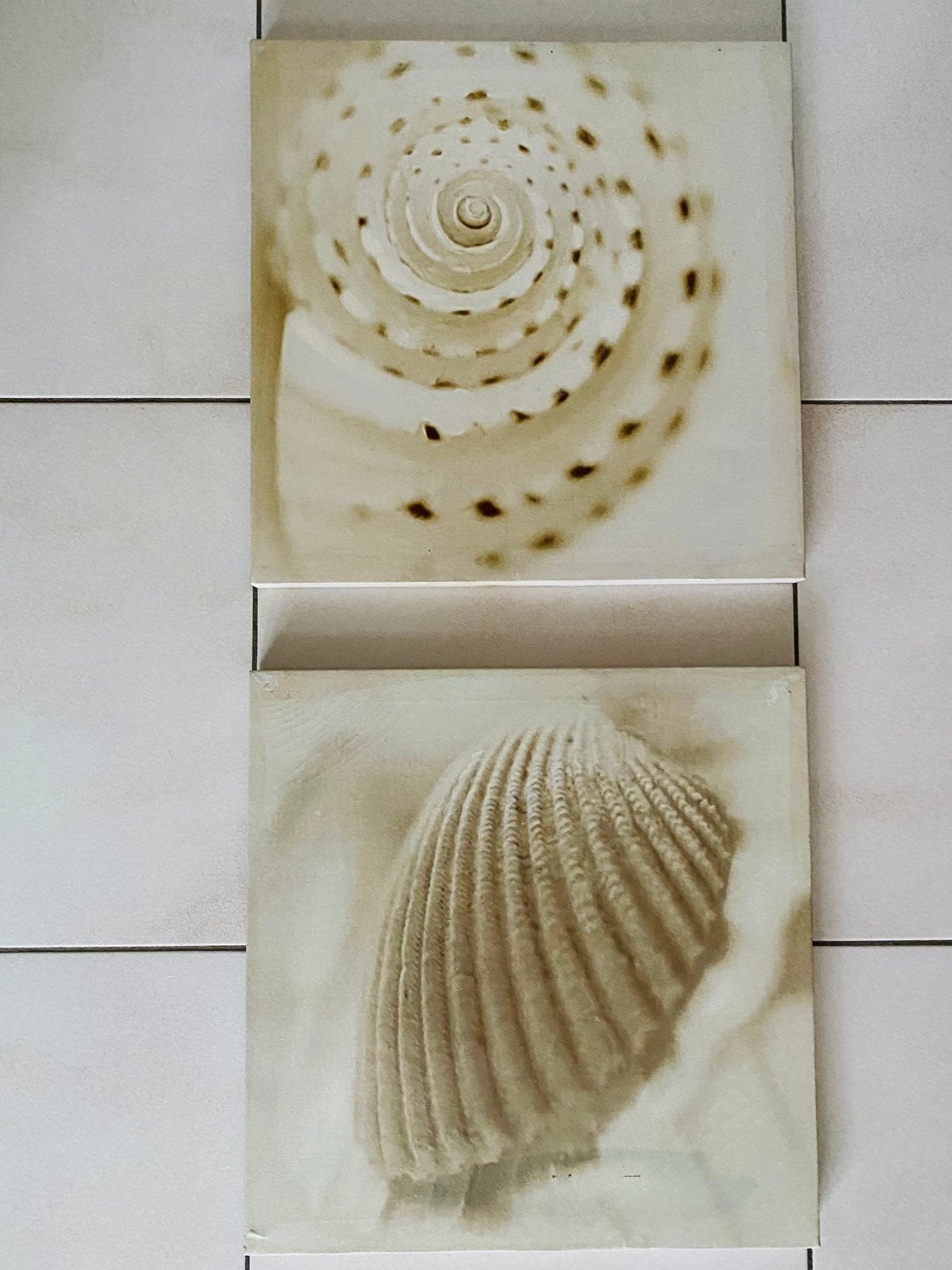 2 peintures sur toile à suspendre - Coquillages, Beige, Autres styles, Tableau, Utilisé