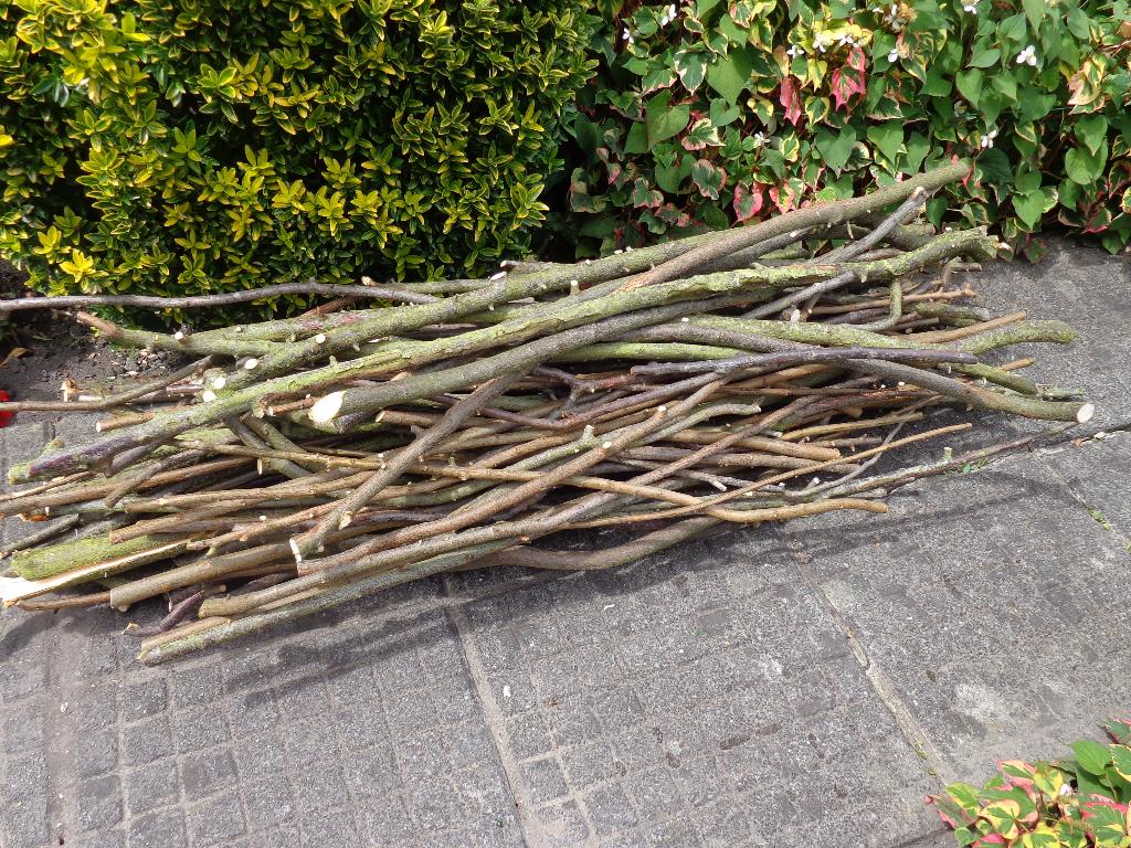 petit bois de chauffage/allumage/barbecue: prunus/catalpa..., Moins de 3 m³, Enlèvement, Autres essences de bois, Branches