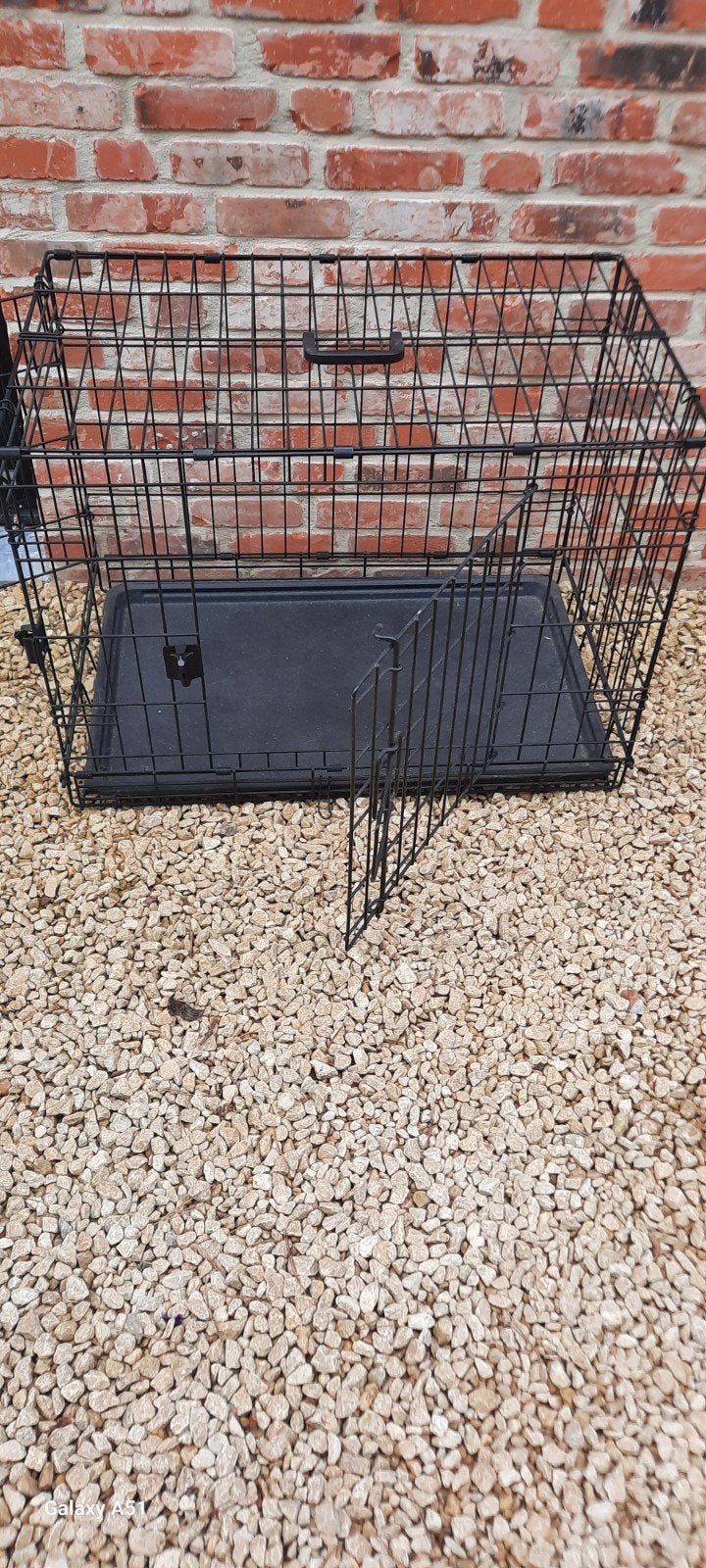 bench hond, Dieren en Toebehoren, Ophalen