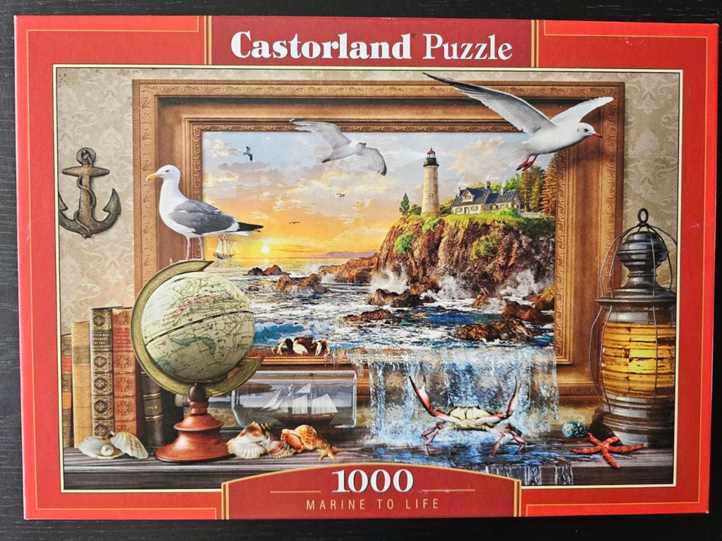 Puzzle Castorland de 1000 pièces, complet., Enlèvement ou Envoi