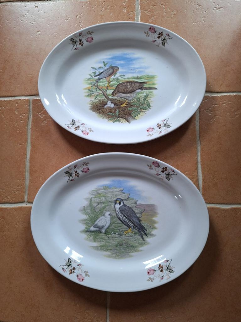 Grote borden met vogels, Antiek en Kunst, Antiek | Schalen, Ophalen of Verzenden