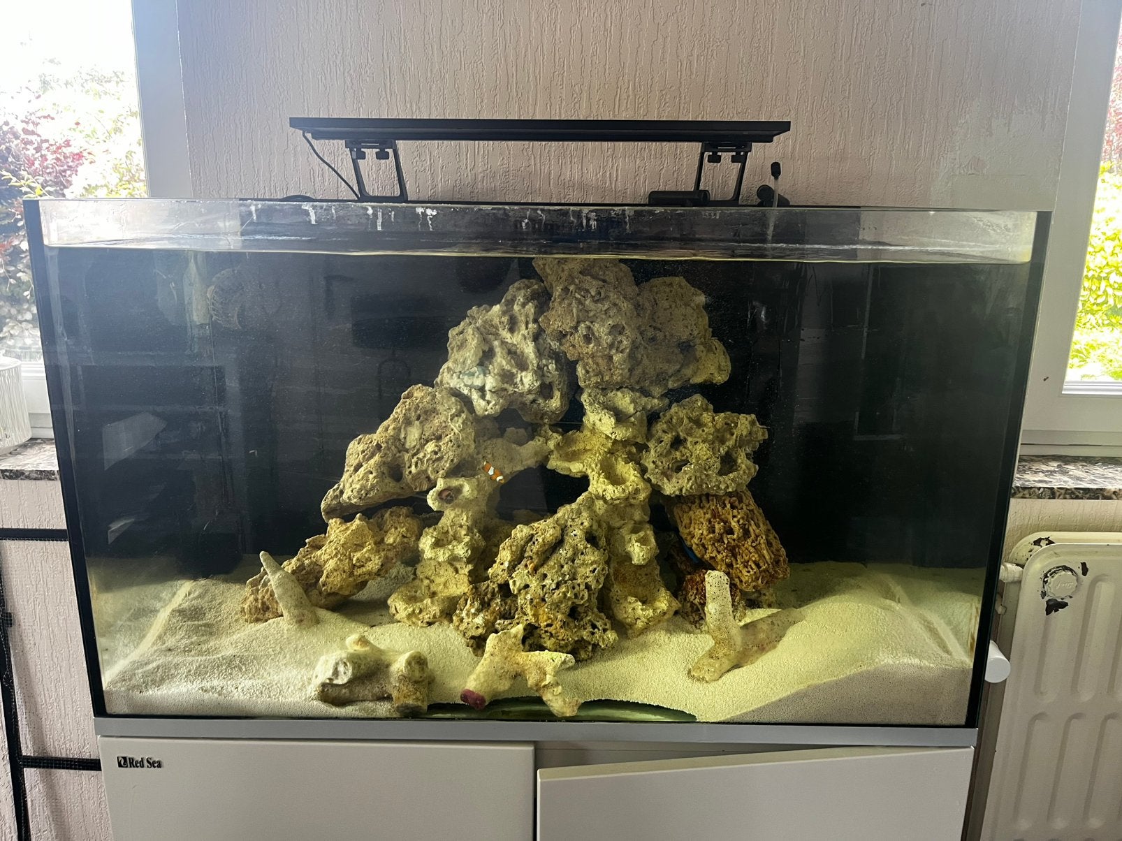 Aquarium marin complet, Enlèvement, Pompe, Comme neuf, Red Sea