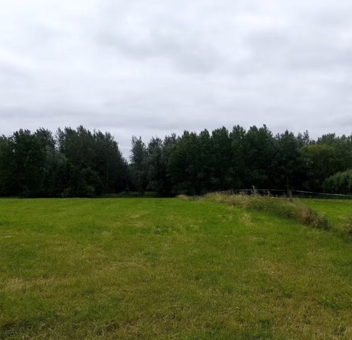 Weide kortenaken en Bekkevoort te huur