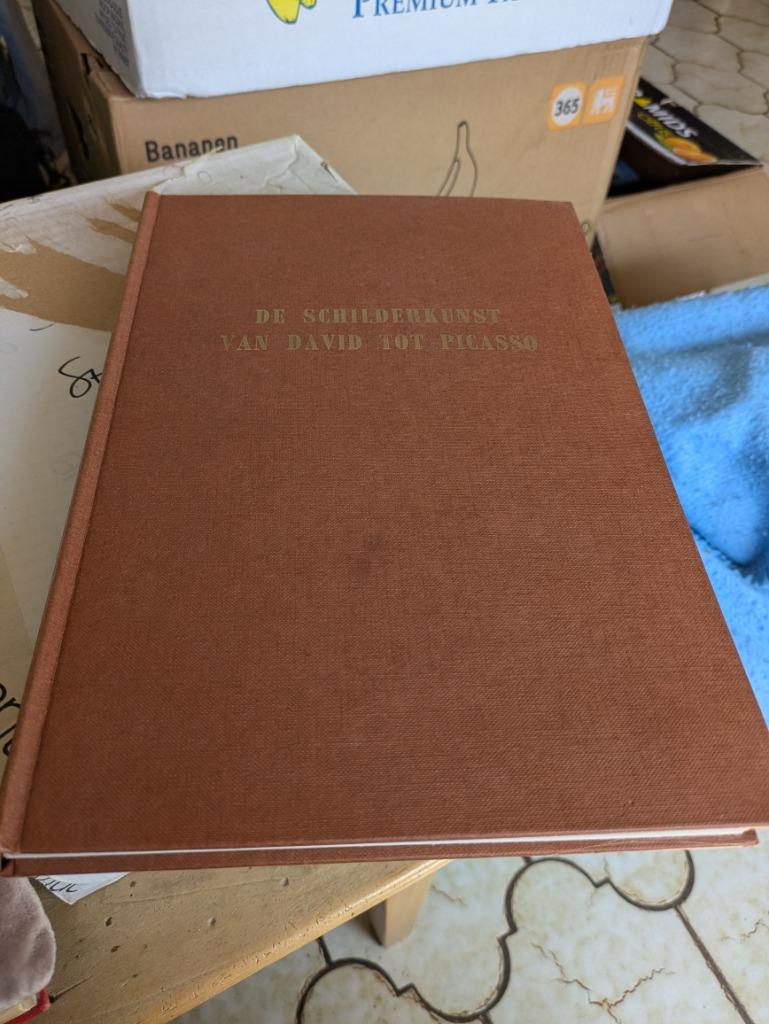 De schilderkunst van David tot Picasso, Boeken, Diverse auteurs, Ophalen of Verzenden, Zo goed als nieuw, Schilder- en Tekenkunst