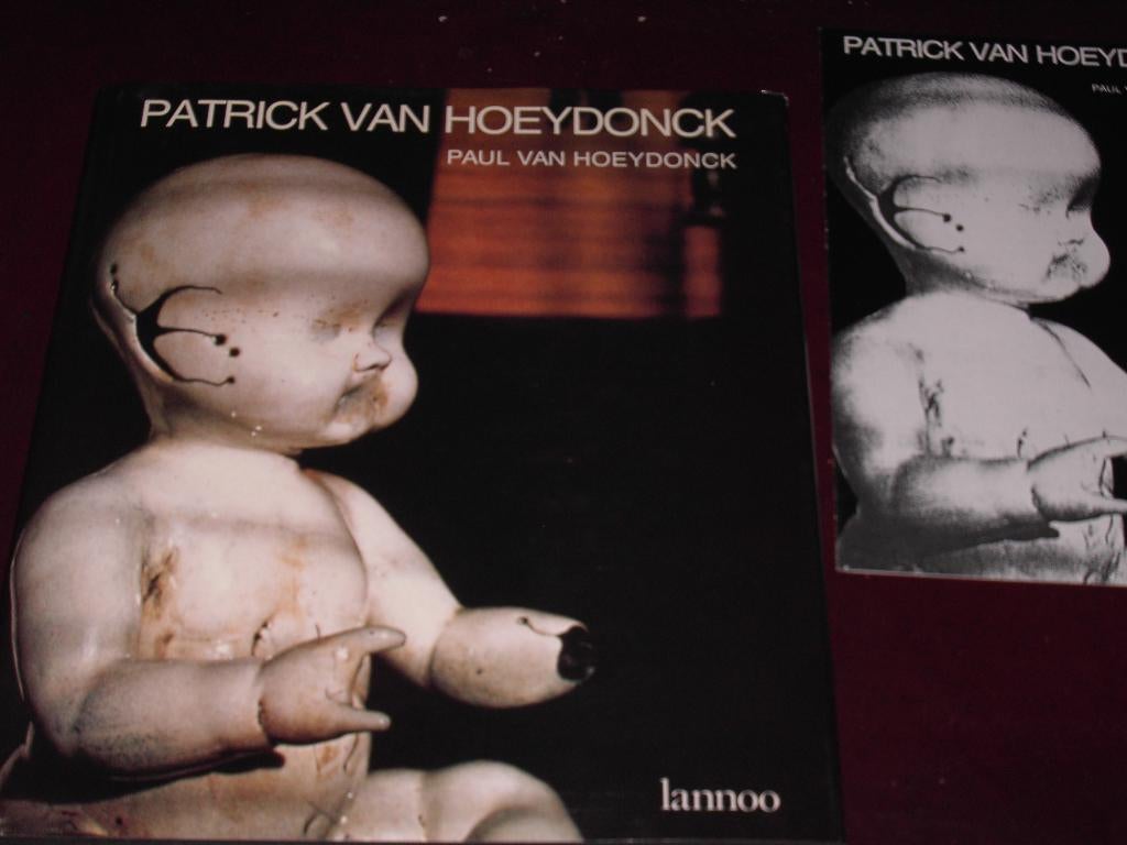 PATRICK VAN HOEYDONCK (1959-1984) uitg. Lannoo 1986, Nieuw, Paul van Hoeydonck, Ophalen of Verzenden, Schilder- en Tekenkunst