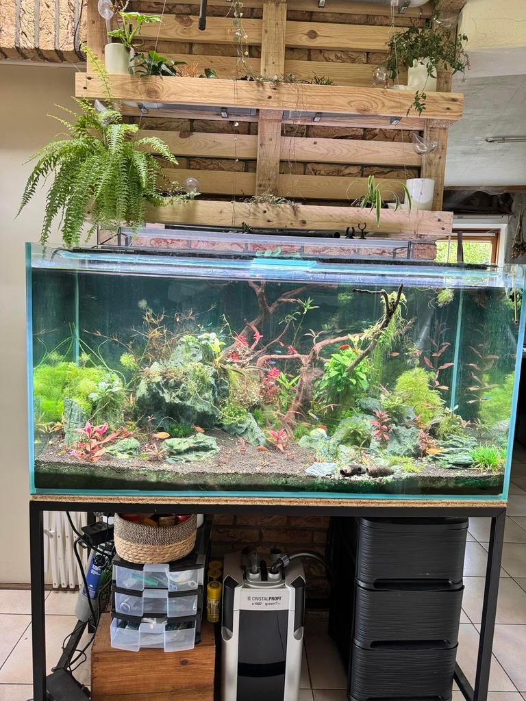 Aquarium 300 litres, Dieren en Toebehoren, Vissen | Aquaria en Toebehoren, Zo goed als nieuw, Ophalen