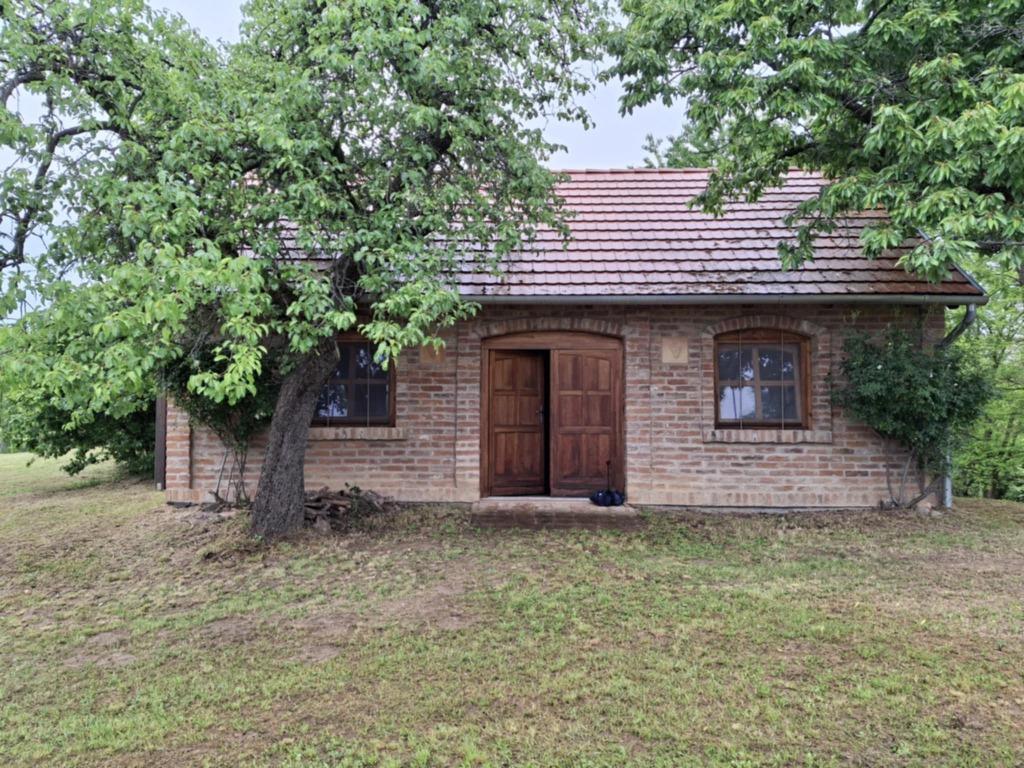Almamellék , Rustig gelegen en zeer mooi stenen wijnhuis. #1, Immo, Étranger, Europe autre, Maison d'habitation, Village
