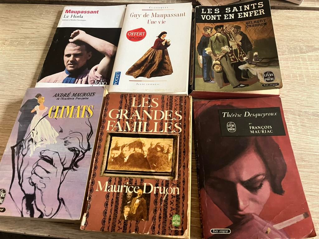 Cesbron Druon Maupassant Mauriac Maurois, Boeken, Ophalen of Verzenden, Gelezen, Europa overig