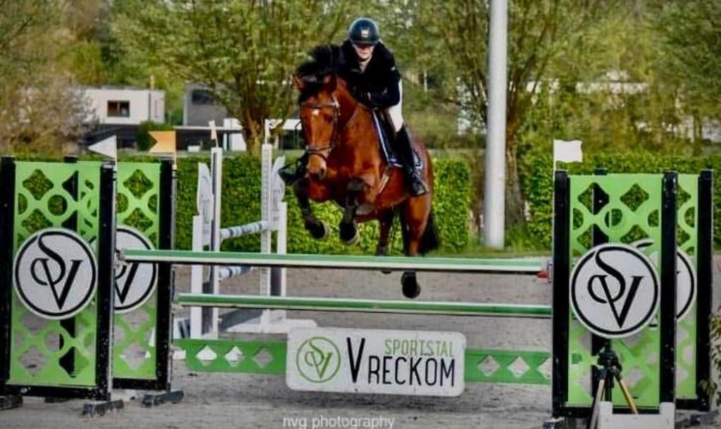 Springpaard te lease, Dieren en Toebehoren