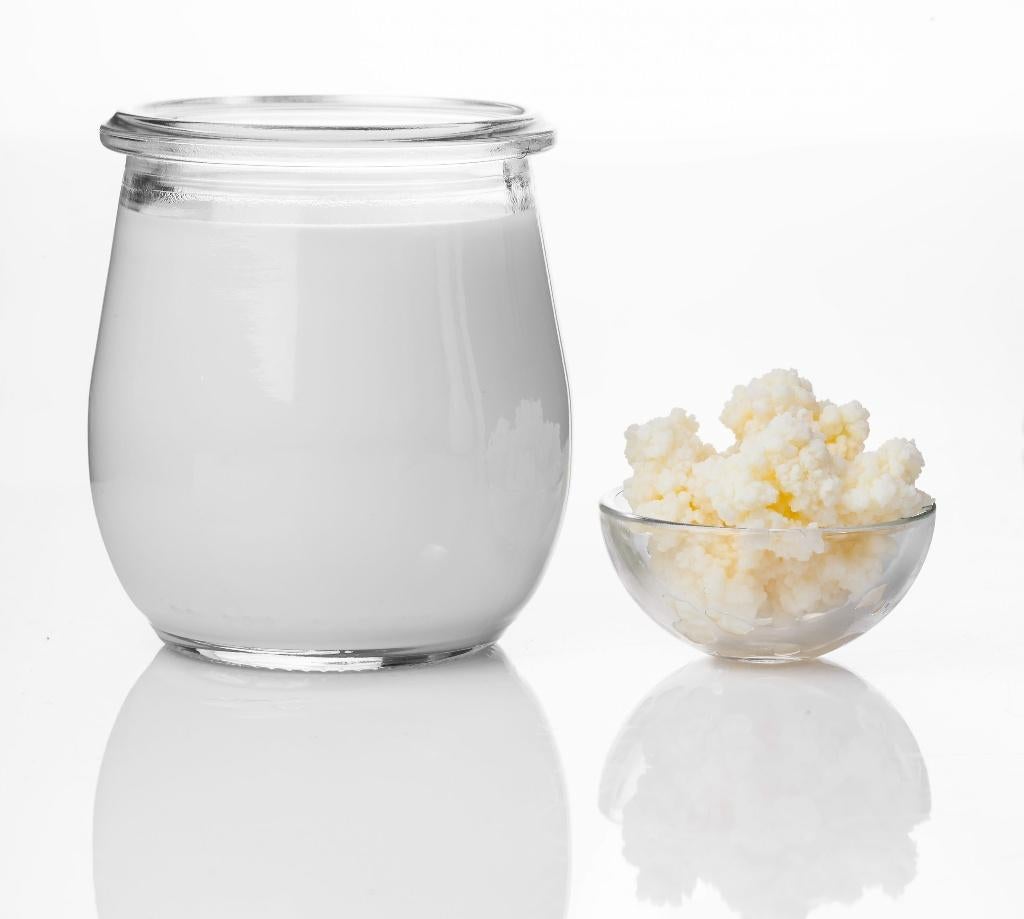 melk kefir korrels yoghurt bloemetjes, Ophalen