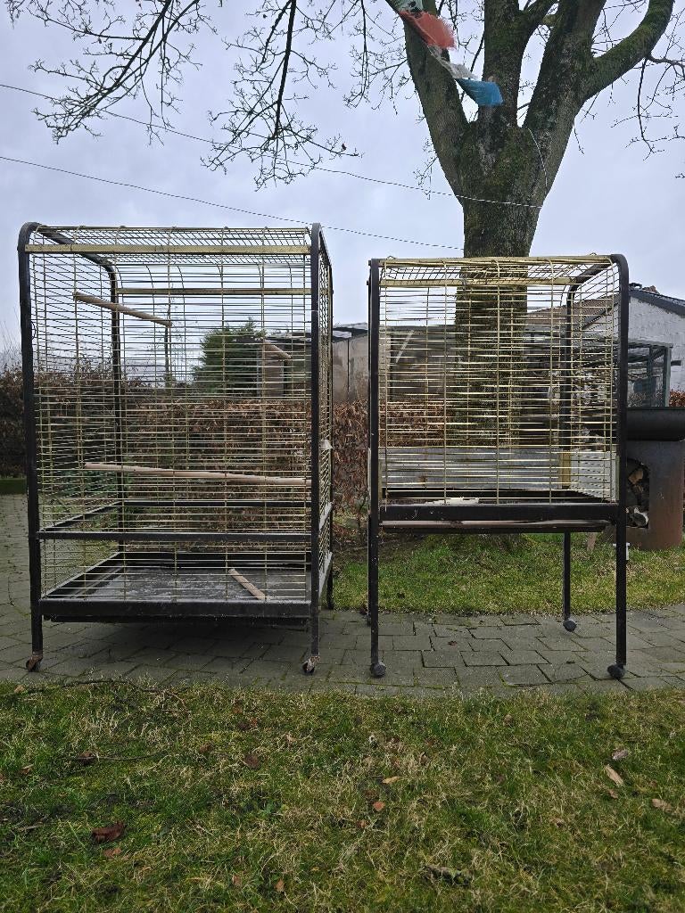 PAPEGAAIENKOOI, Dieren en Toebehoren, Ophalen, Gebruikt, Metaal, Vogelkooi