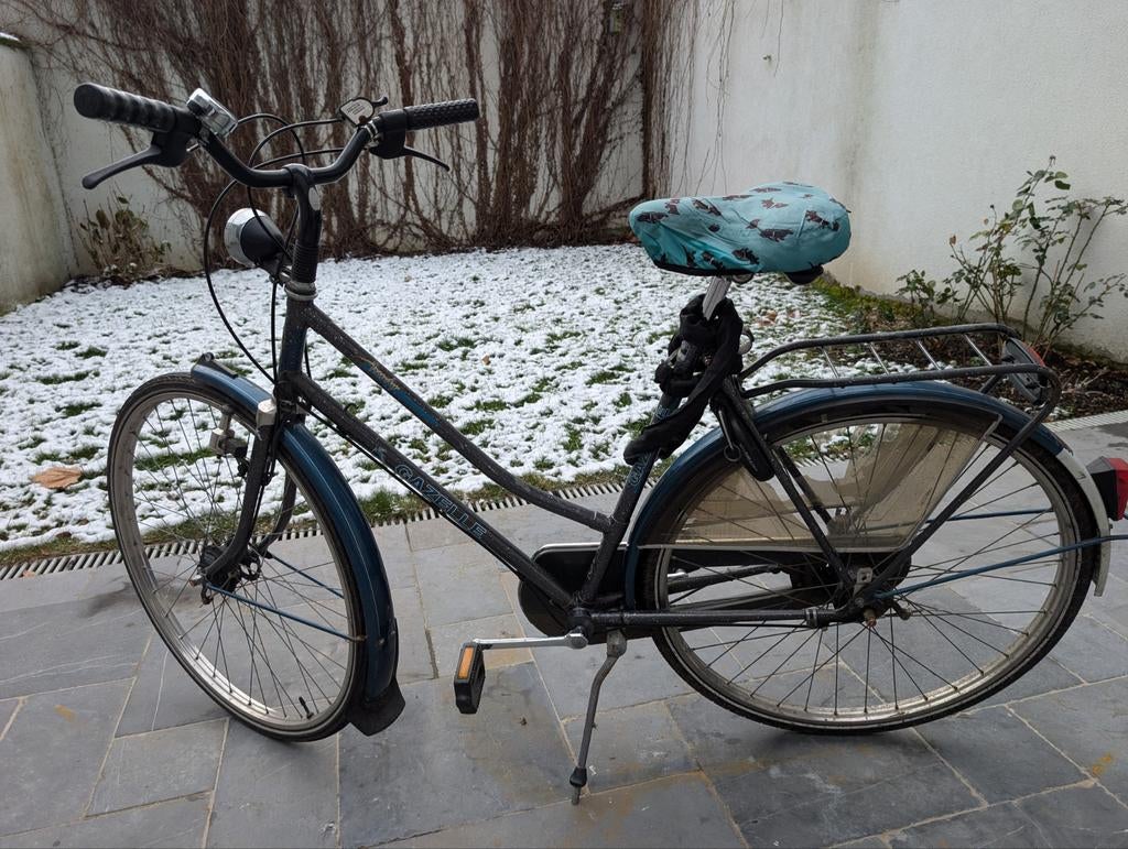 Gazelle Trendy damesfiets, Ophalen